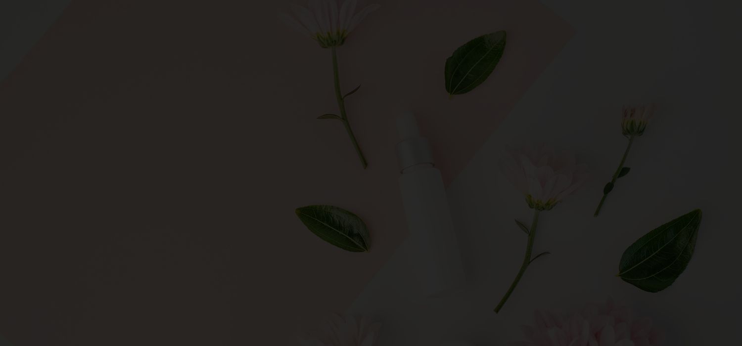 Alt Tag for image slider2